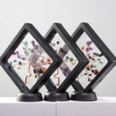 Árvore da Prosperidade 7 Chakras + Moldura Flutuante